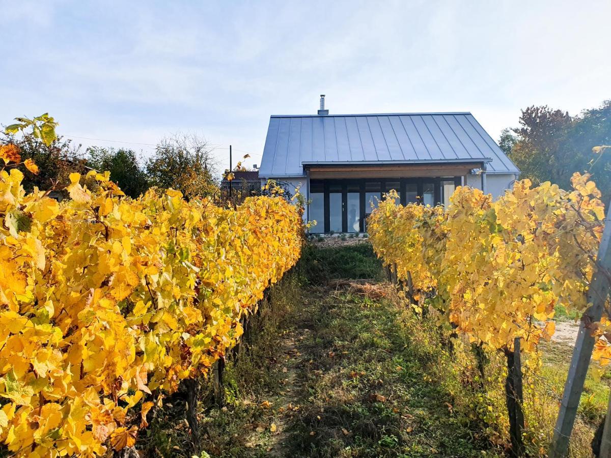 Wine & Space Lodge At Lake Balaton Балатонлелле Экстерьер фото