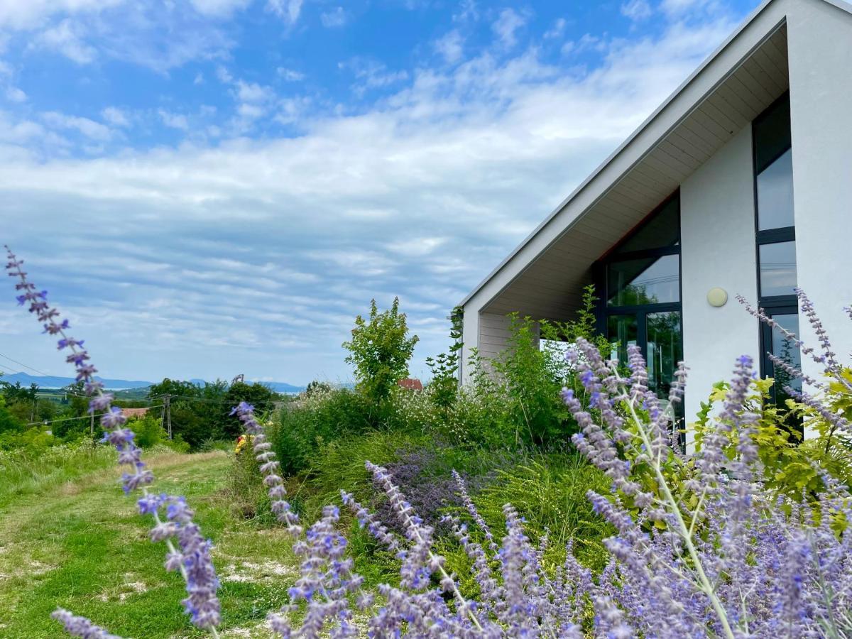Wine & Space Lodge At Lake Balaton Балатонлелле Экстерьер фото